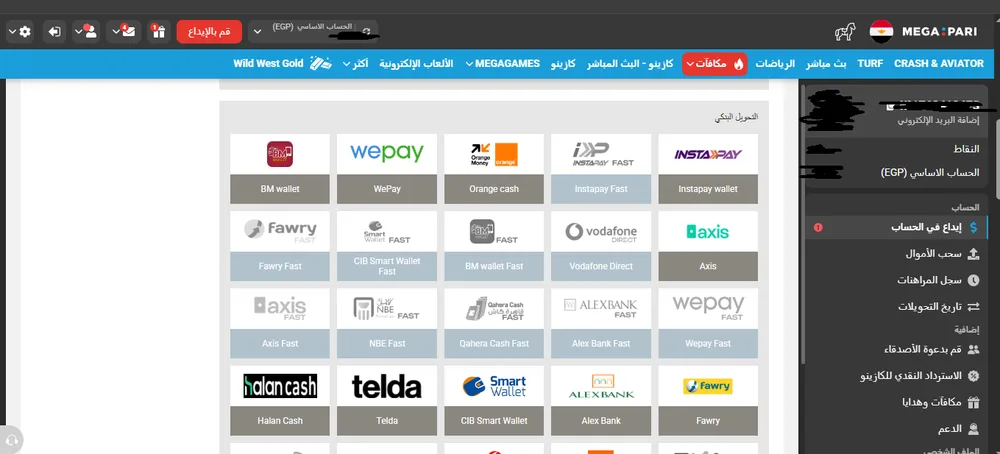 وسائل الدفع المصرية في Megapari بدون PayPal